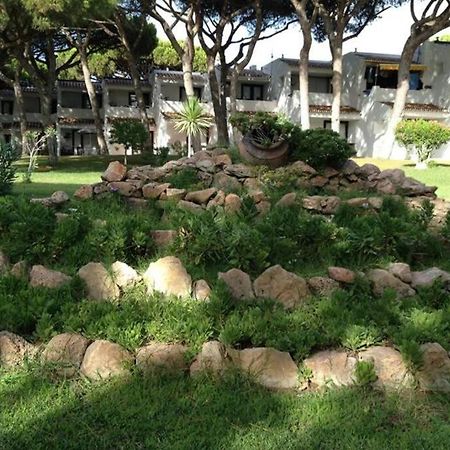 Buganvilia Apartment Praia Da Falesia Albufeira Dış mekan fotoğraf