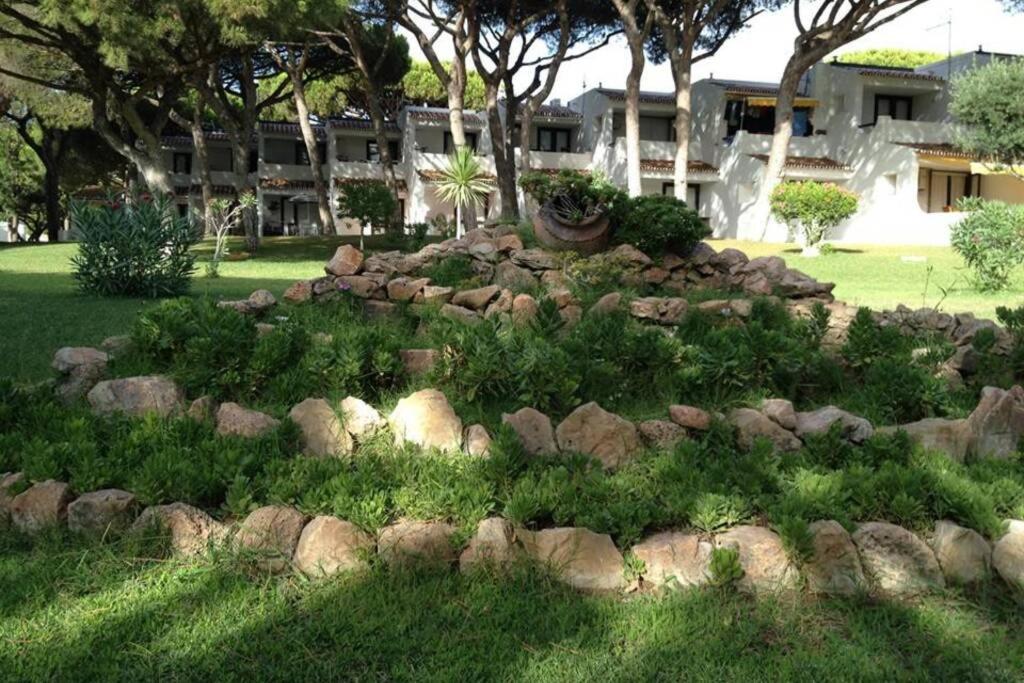 Buganvilia Apartment Praia Da Falesia Albufeira Dış mekan fotoğraf