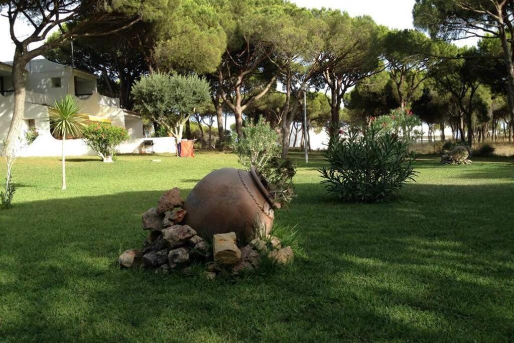 Buganvilia Apartment Praia Da Falesia Albufeira Dış mekan fotoğraf